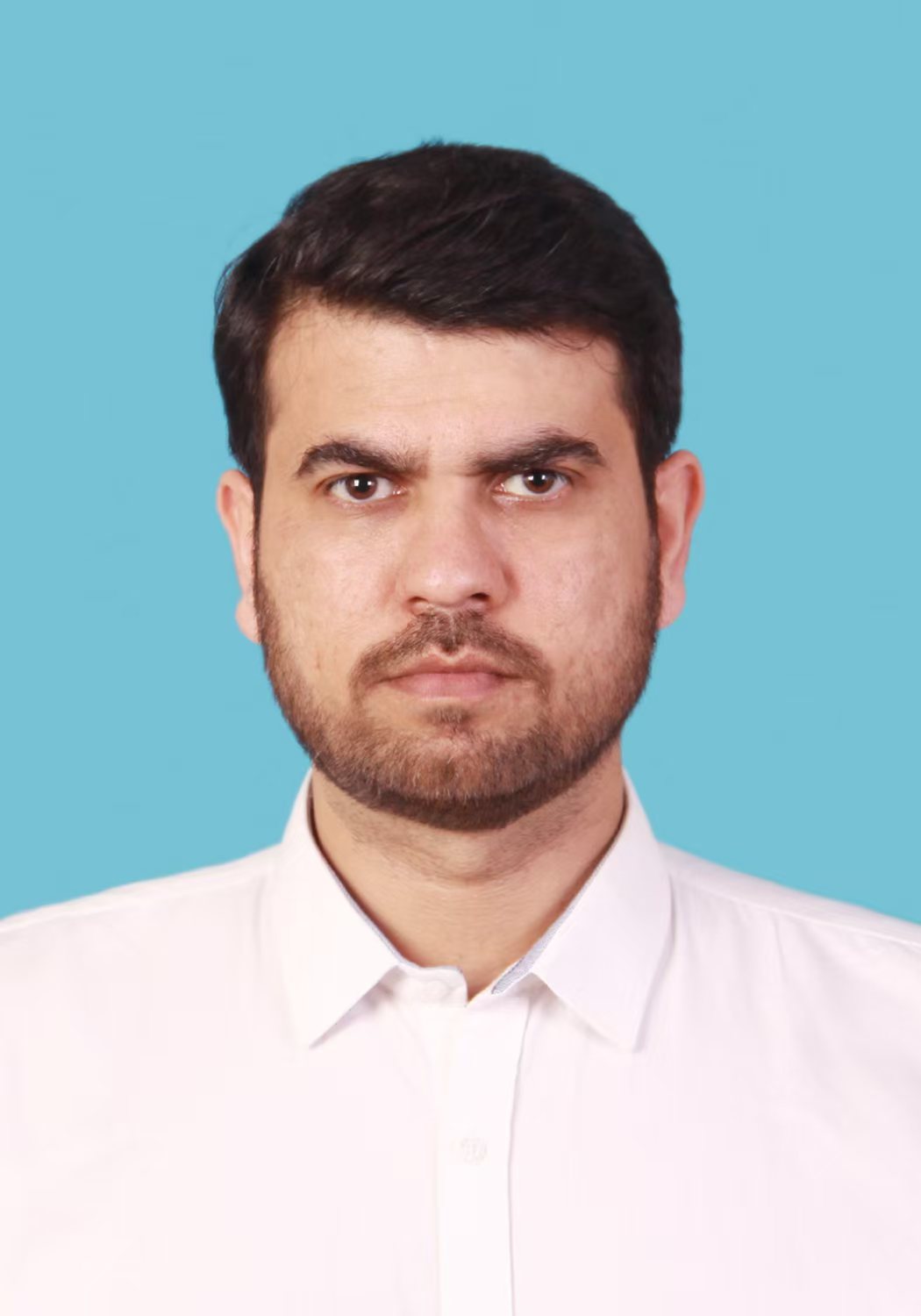 Shabih Ul Hassan